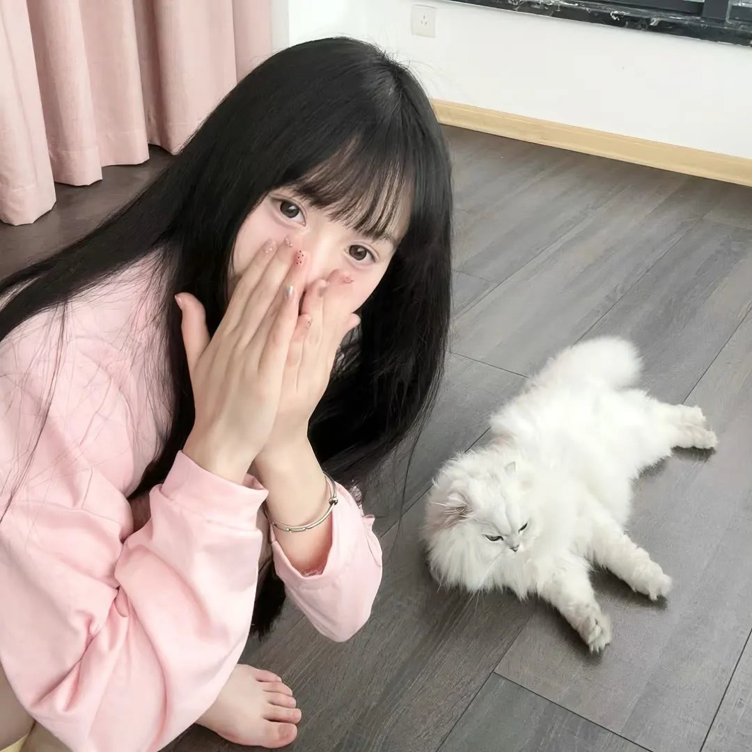 海豚的故事2